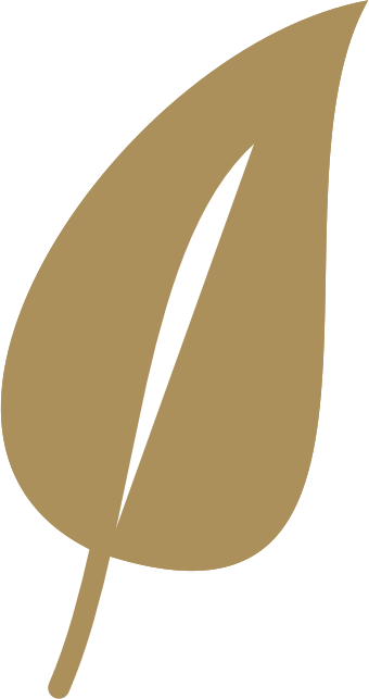 socioambiental